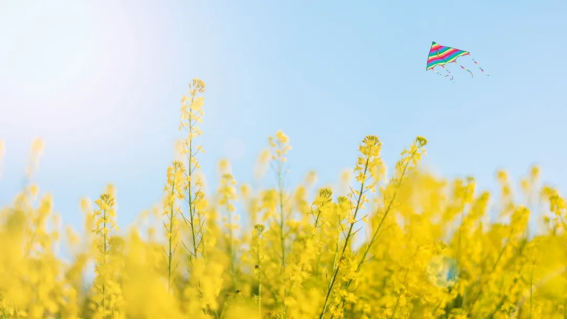 1713920052171950.png image.png